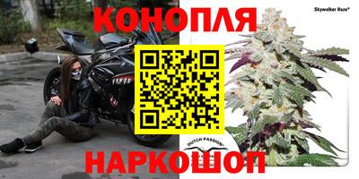 трава Пыть-Ях