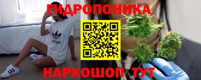 трава Пыть-Ях