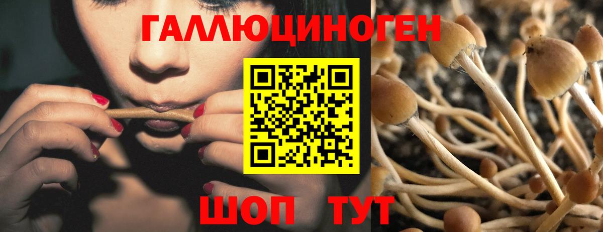 Заречный  Псилоцибиновые грибы GOLDEN TEACHER  Вход с VPN 