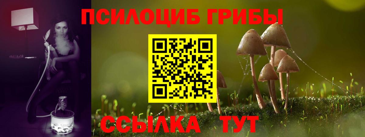 Псилоцибиновые грибы ЛСД Заречный